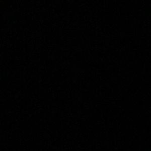 Meet your Posher, Garrett